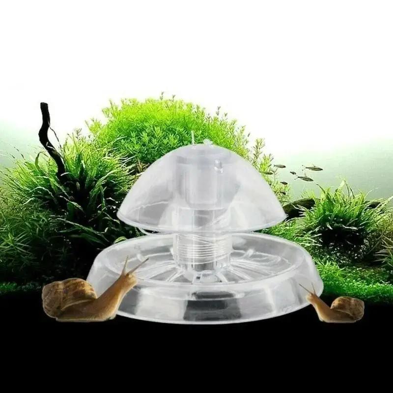 Fish Aquarium Home - 2026 Yeni 6/8CM Şeffaf Plastik Salyangoz
