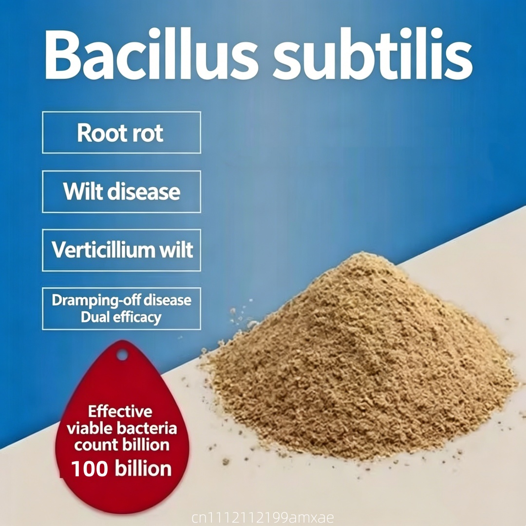 Aquarium Plants - Yüksek Aktiviteli Bacillus Subtilis Tozu Organik