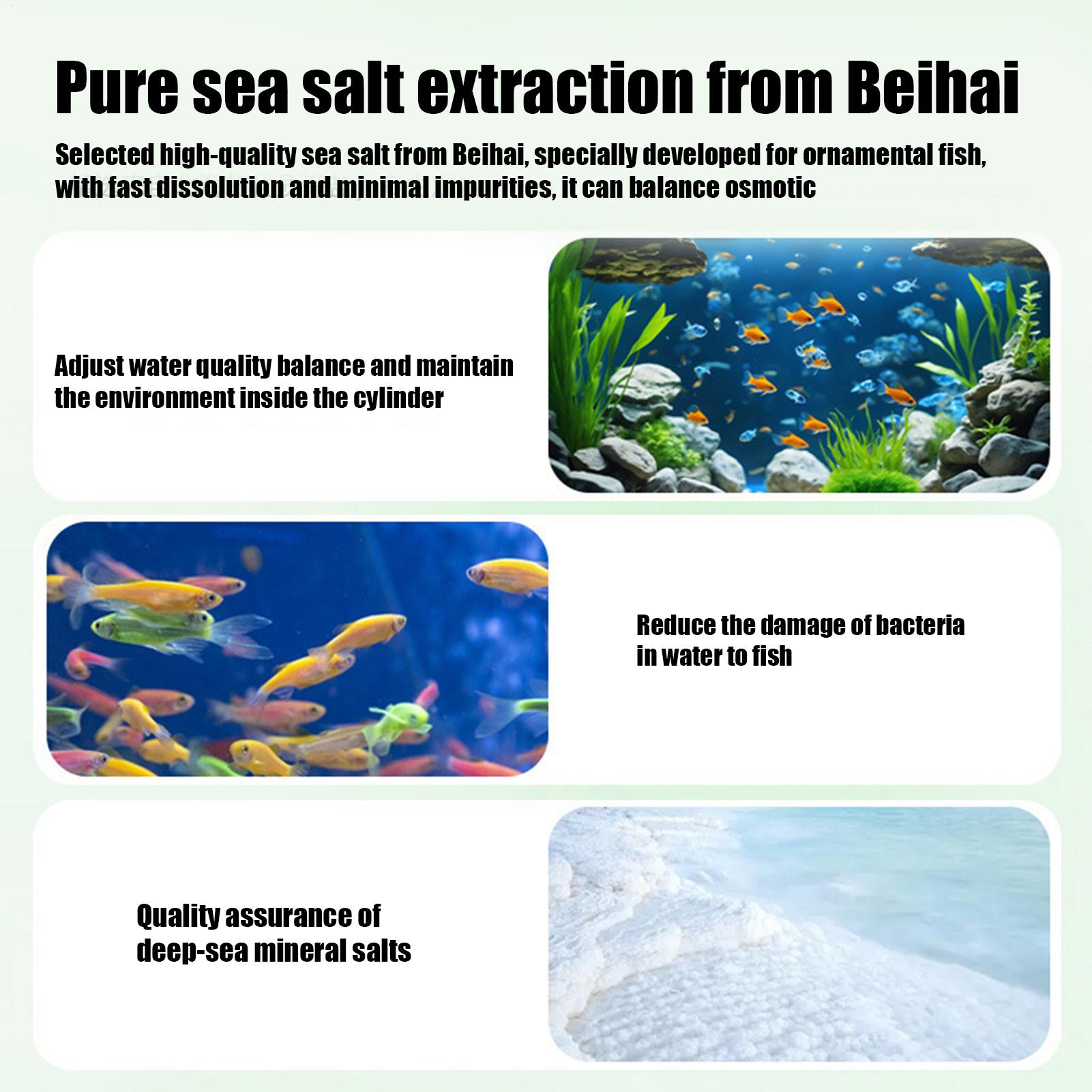 Balık Tankı Yosun Giderici Akv - Betta Fish Tank incelemesi ve fiyatı
