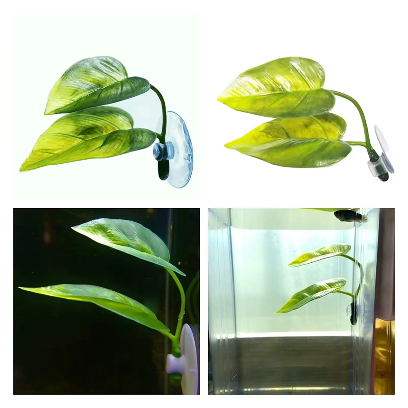 Akvaryum Evcil Hayvan Malzemel - Betta Fish Tank incelemesi ve fiyatı