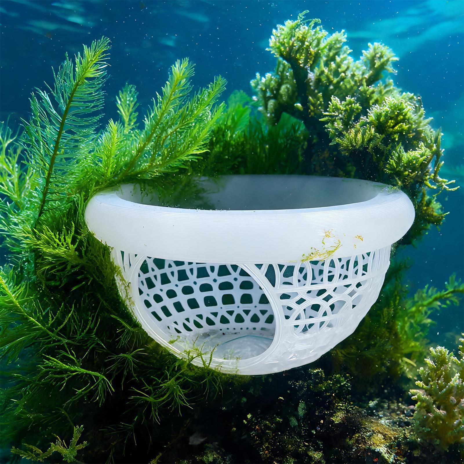 Akvaryum Yüzen Mağara Balık Ka - Aquarium Fish Betta incelemesi ve fiyatı