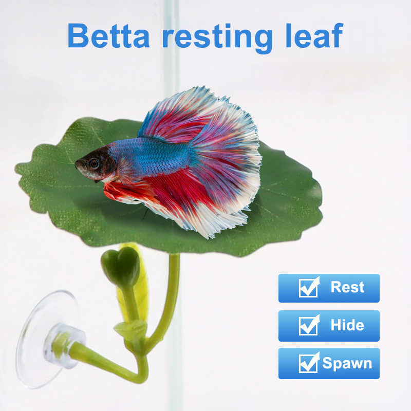 (Ce14)1/5PC Yeşil Yapraklı Ham - Betta Fish Tank incelemesi ve fiyatı