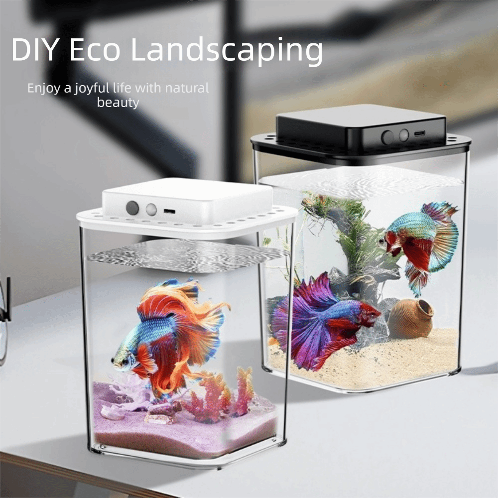 Şeffaf Betta Balık Tankı Akıll - Betta Fish Tank incelemesi ve fiyatı